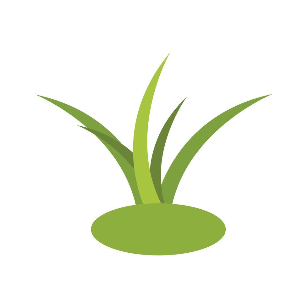 Vector grass illustration flat design on white