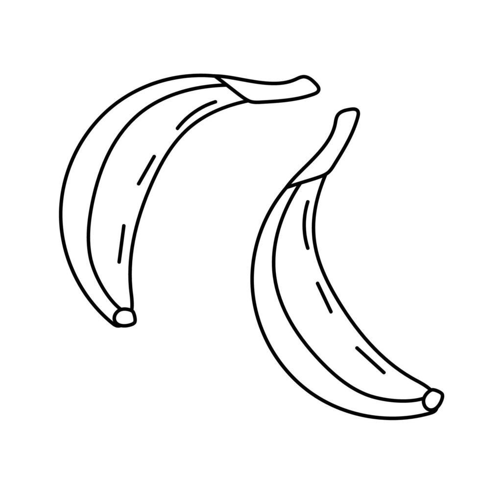 Bananas, doodle black and white vector illustration of a pair of bananas.