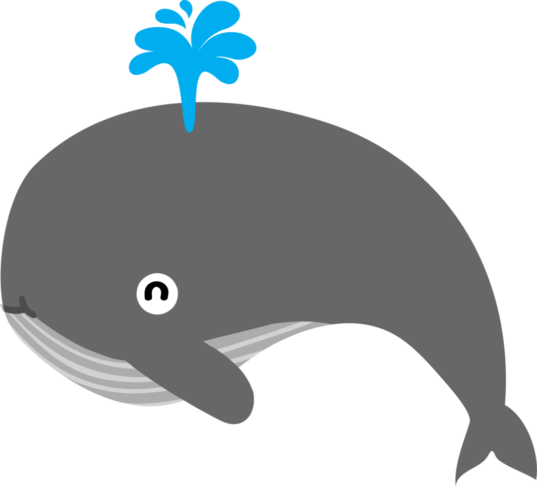 cute whale cartoon png