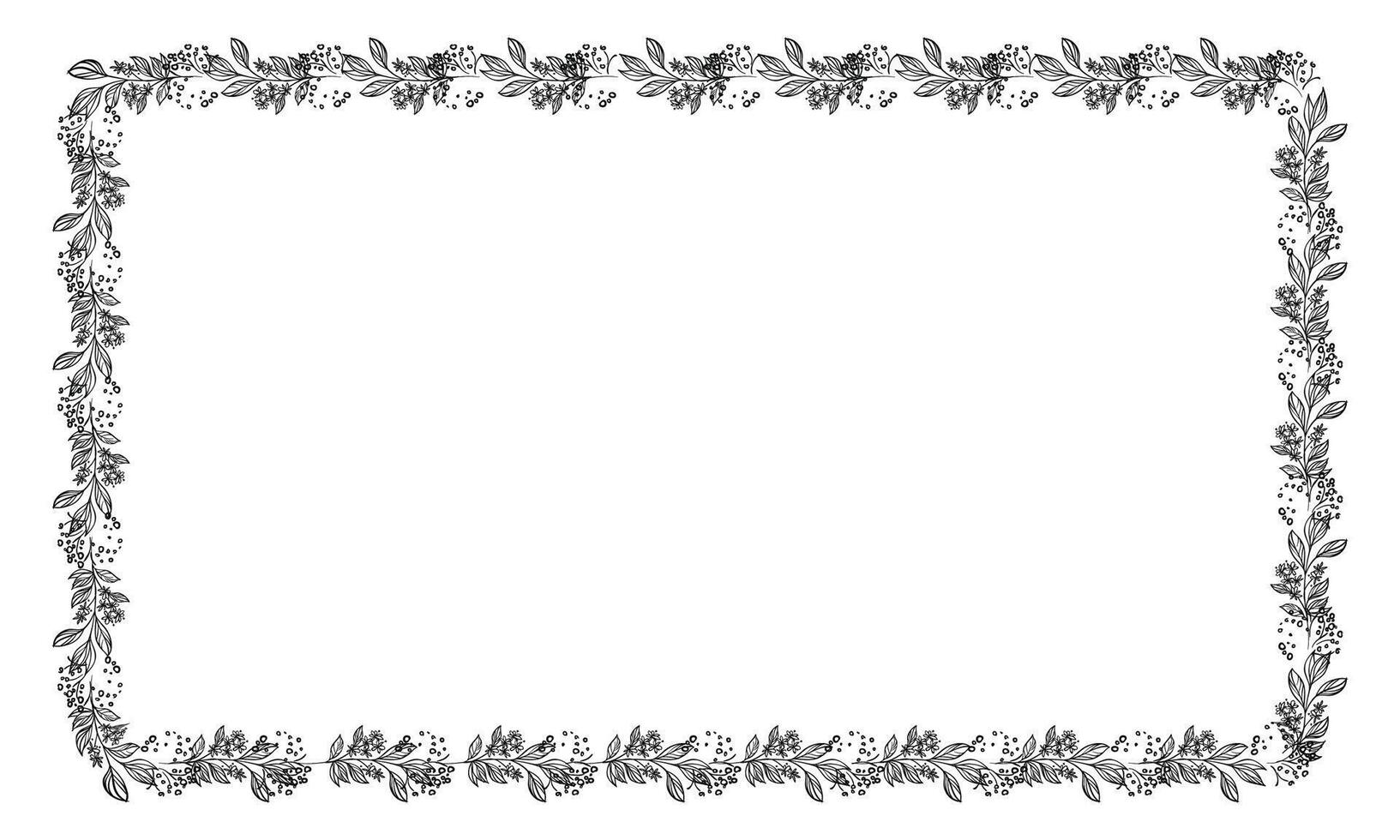 Vector drawn floral frame on white background