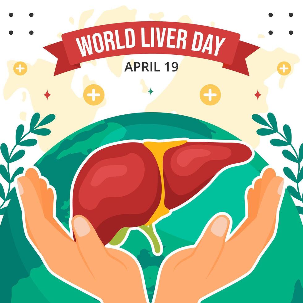 Liver Day Social Media Illustration Flat Cartoon Hand Drawn Templates Background vector