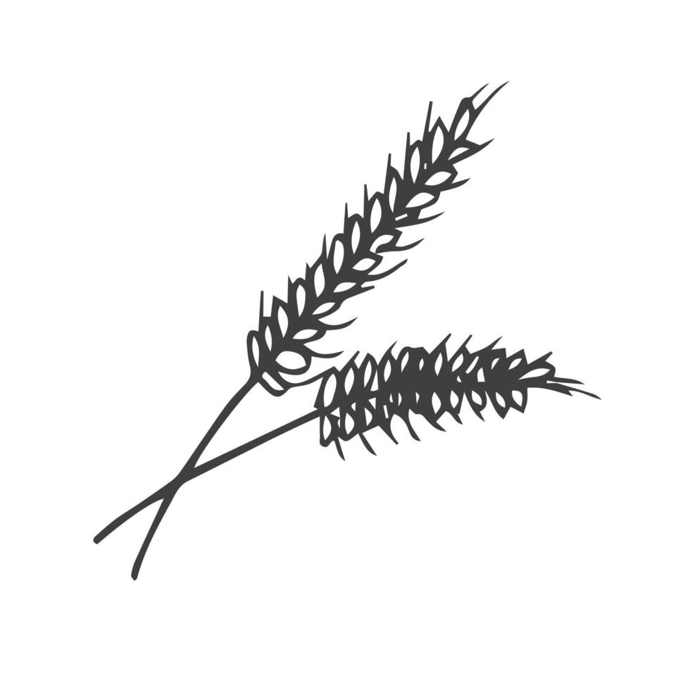 Wheat black icon on white background doodle style vector