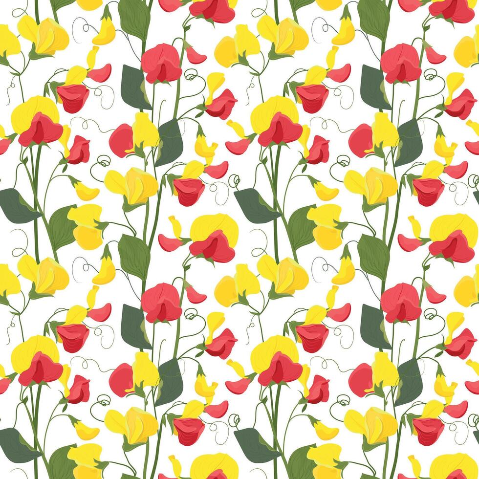 Seamless vector pattern with sweet pea flowers. Floral pattern for wallpaper or fabric, textile. Red and yellow summer flowers and green foliage on a white background.