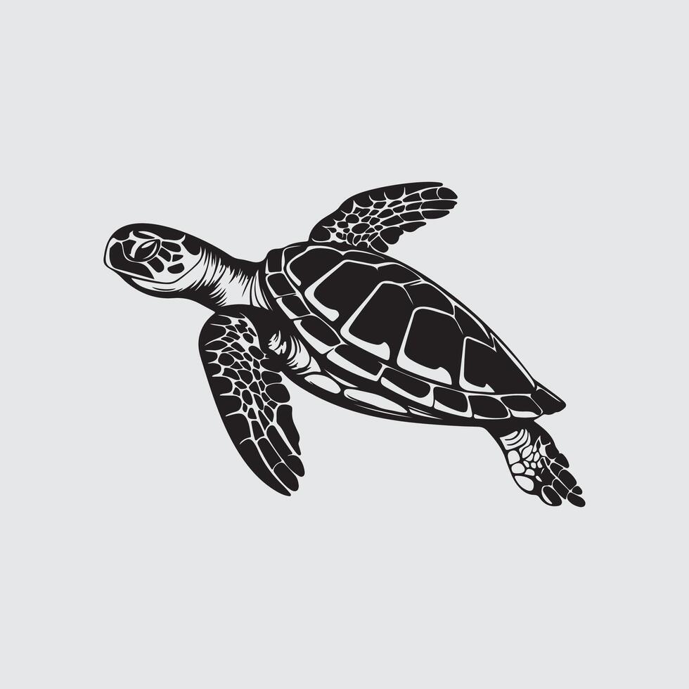 Turtle Vector Art, Icons, and Graphics