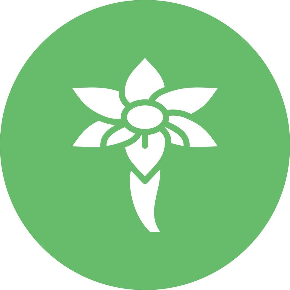 Crocus Vector Icon