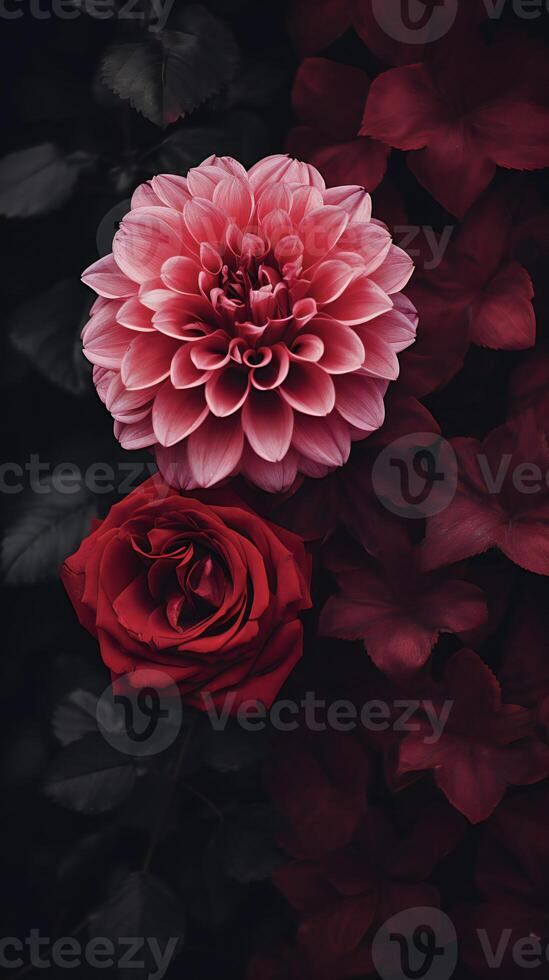 AI generated two roses are shown in front of each other photo