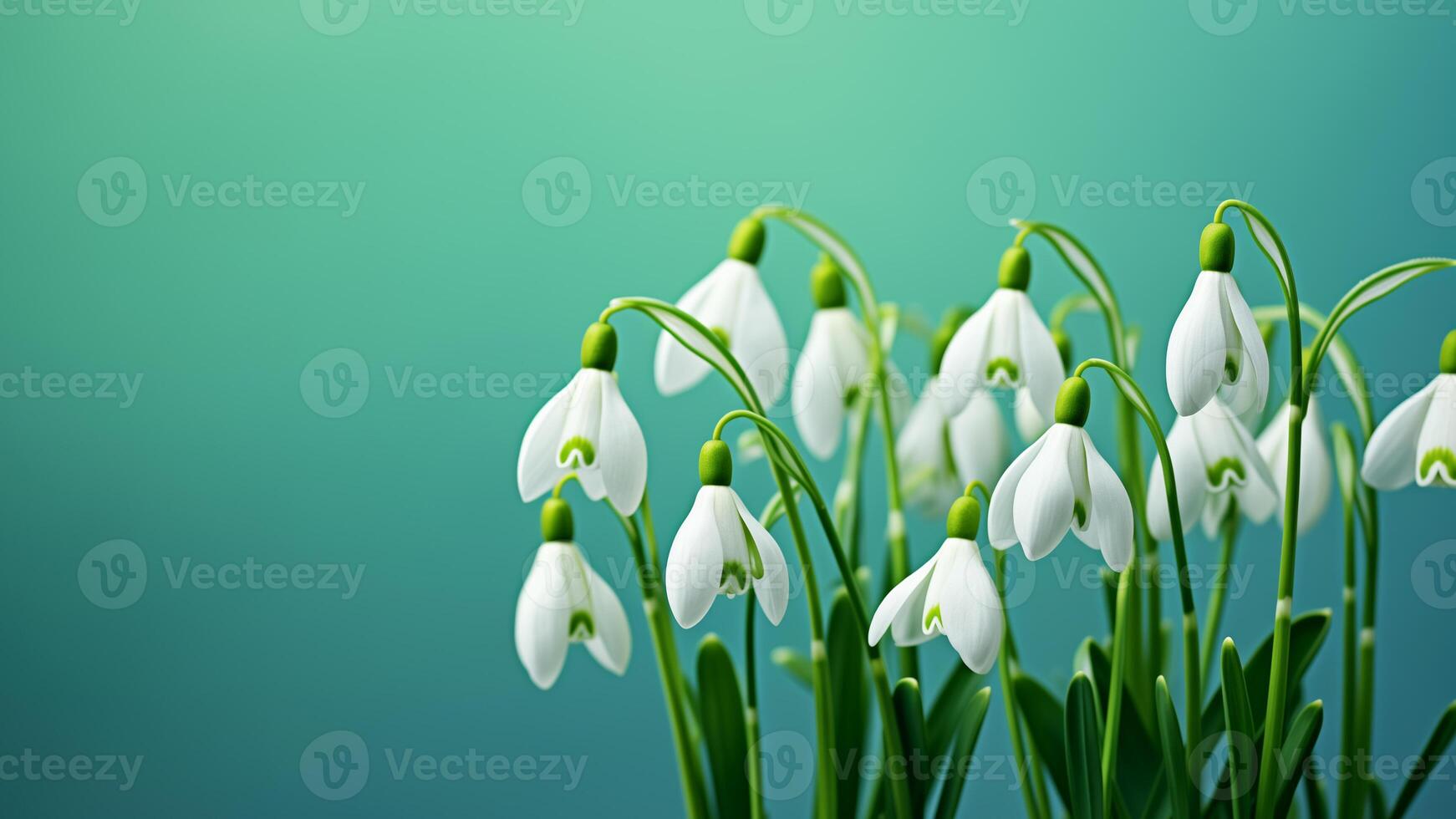AI generated bouquet of snowdrops on a green background photo