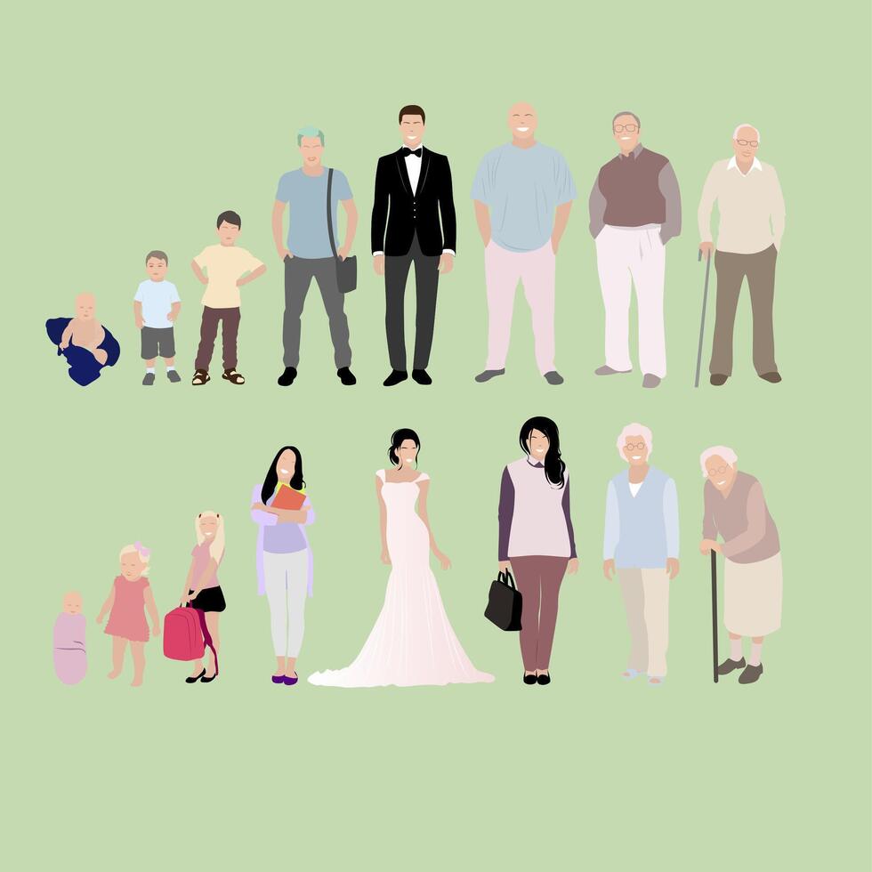 Growing generation male and female, from baby to senior. Development stage, character grandfather and senior, progress schoolchild to pensioner. Vector illustration