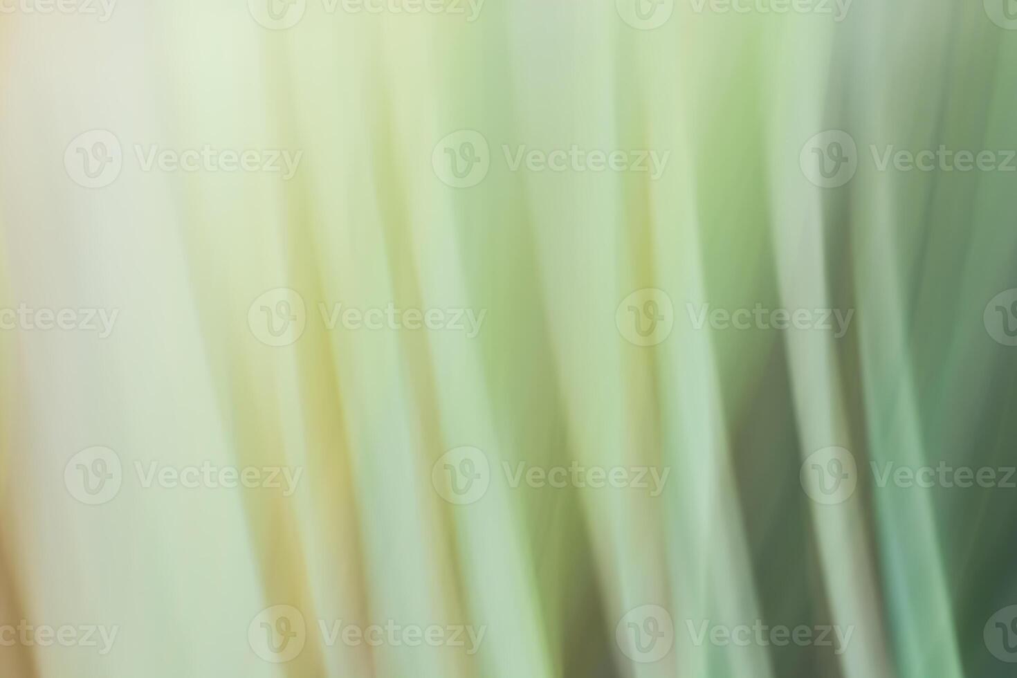Abstract horizontal grass blurred background in green tones close up, colorful vertical lines. photo