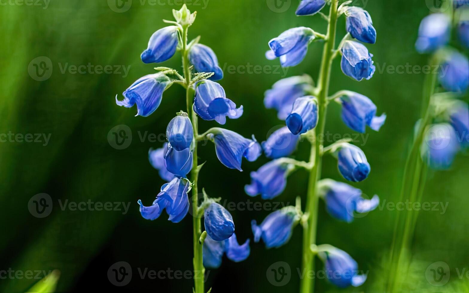 AI generated Aconitum flower hd photo with background