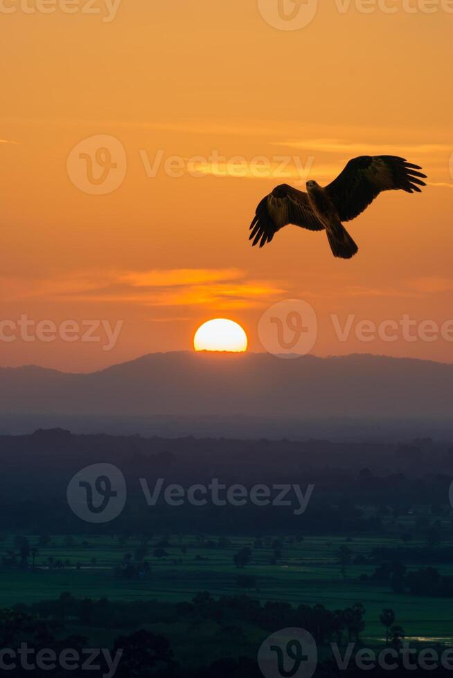 puesta de sol cielo y grande Dom con montaña. foto