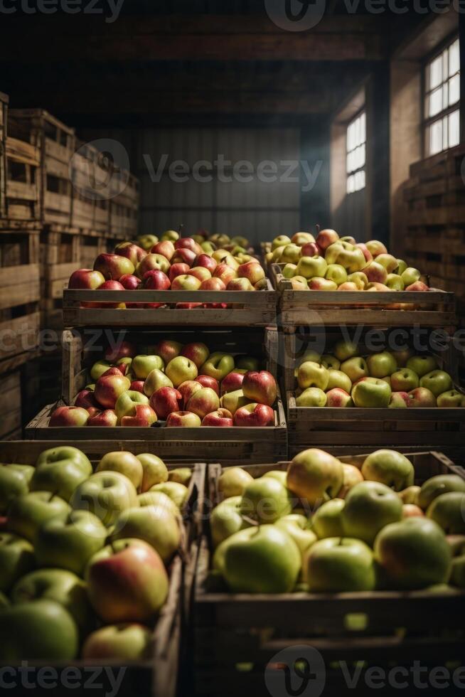 AI generated A colorful display of apples in crates photo