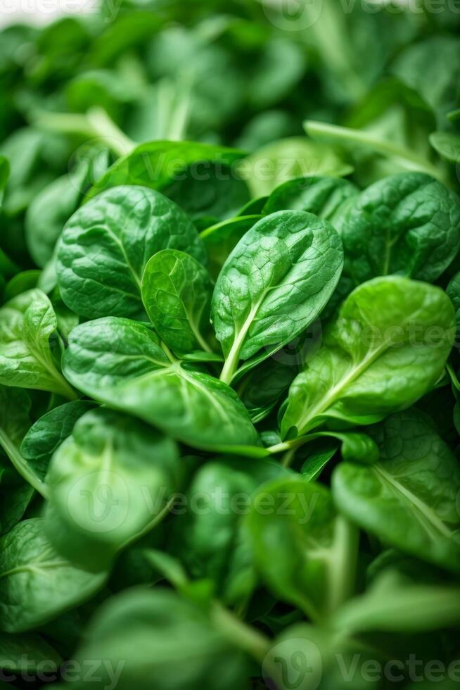 AI generated A tabletop covered in vibrant green leaves photo