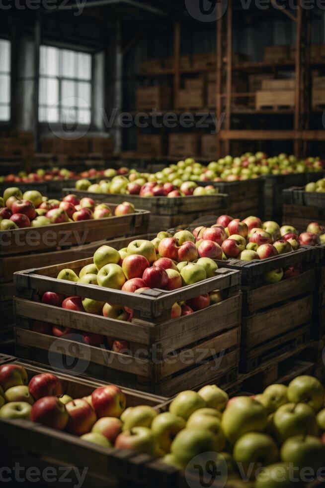 AI generated A colorful assortment of apples in crates photo