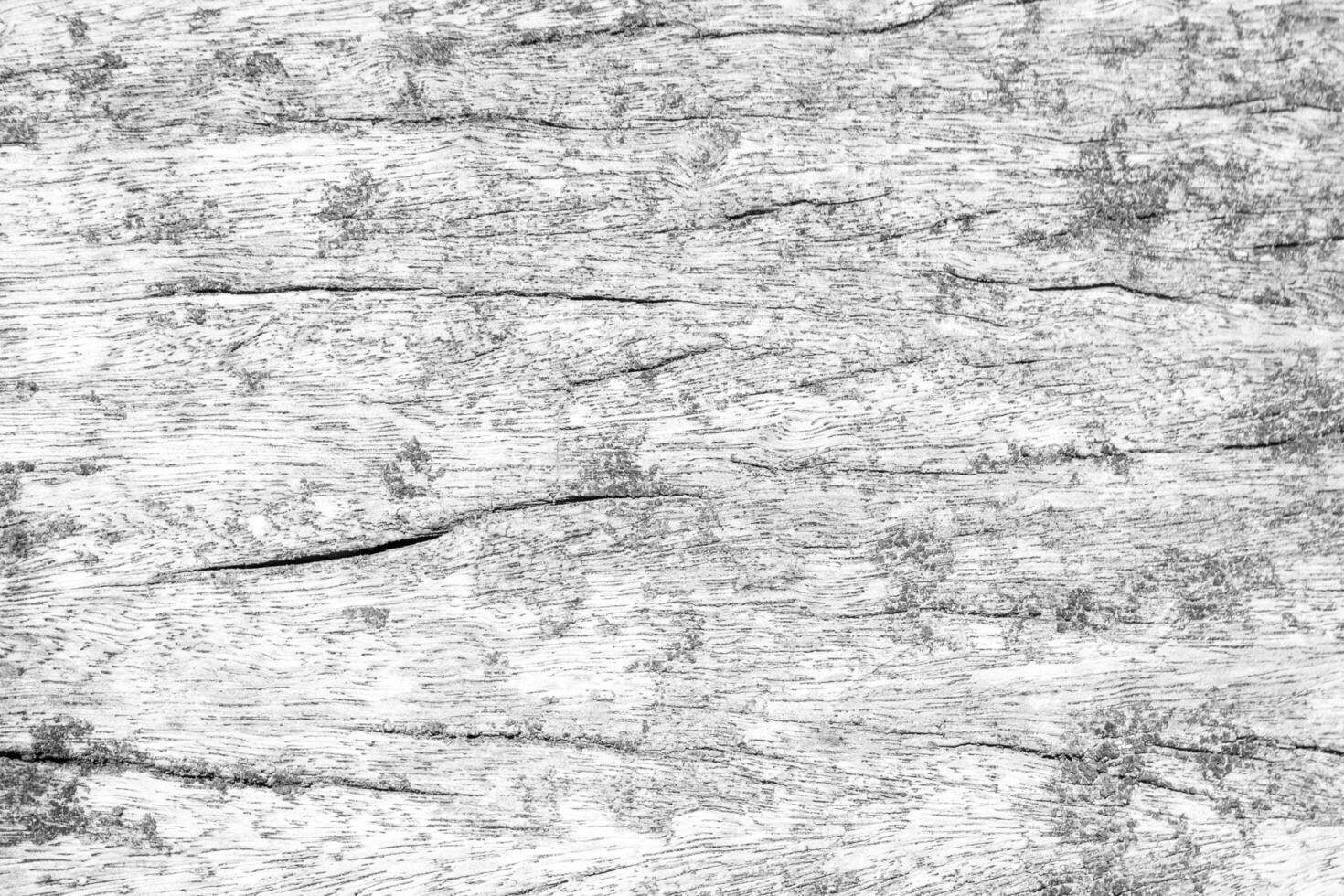 Light old wood pattern withe color for texture and copy space photo