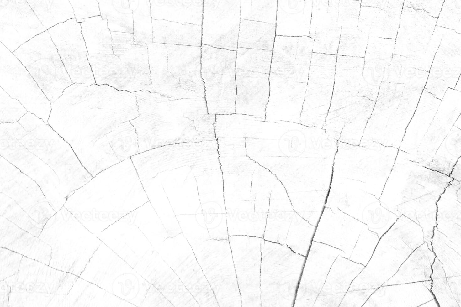 Light wood pattern broken and crack withe color for texture and copy space photo