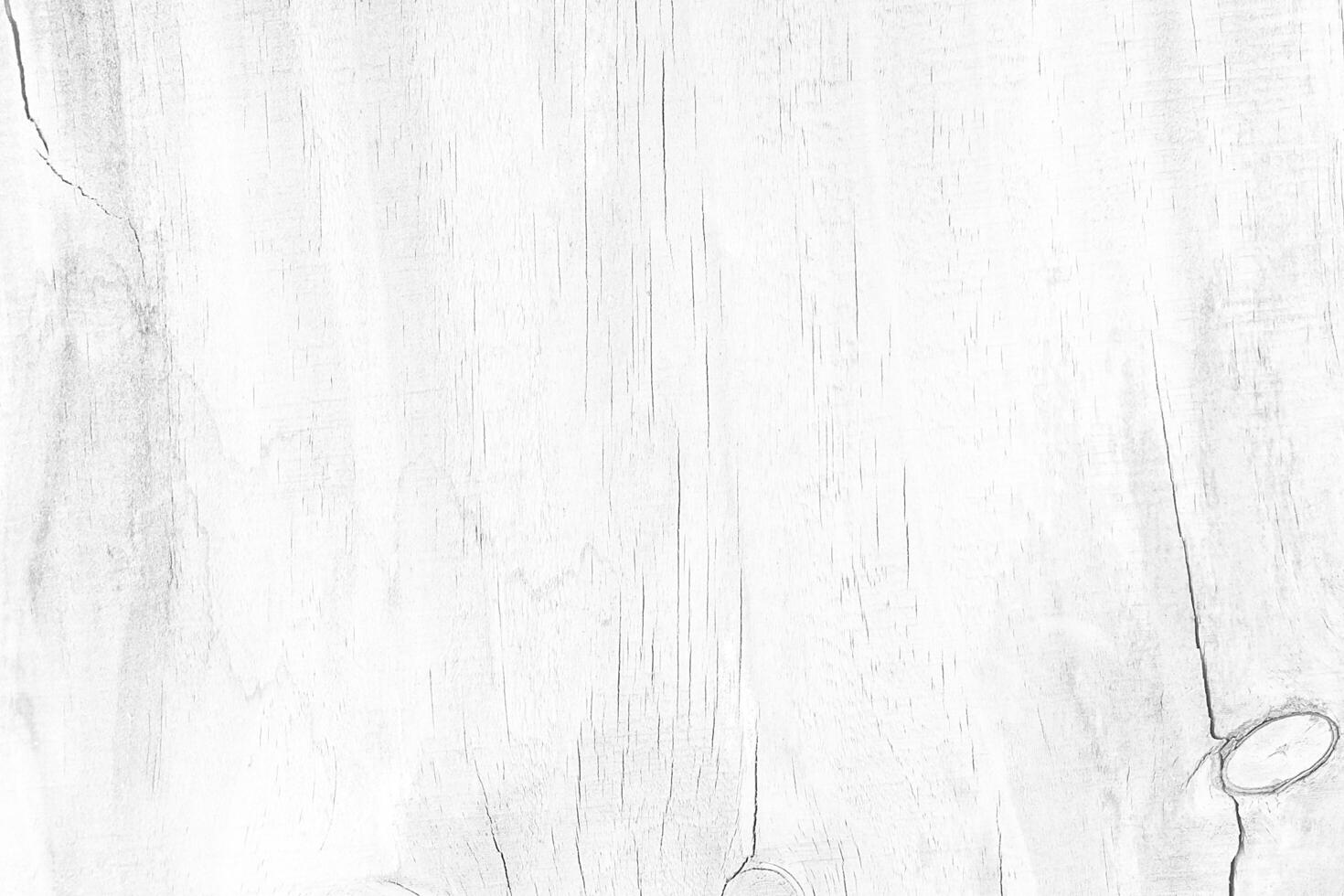 White old wood mold stained pattern for texture and background copy space photo
