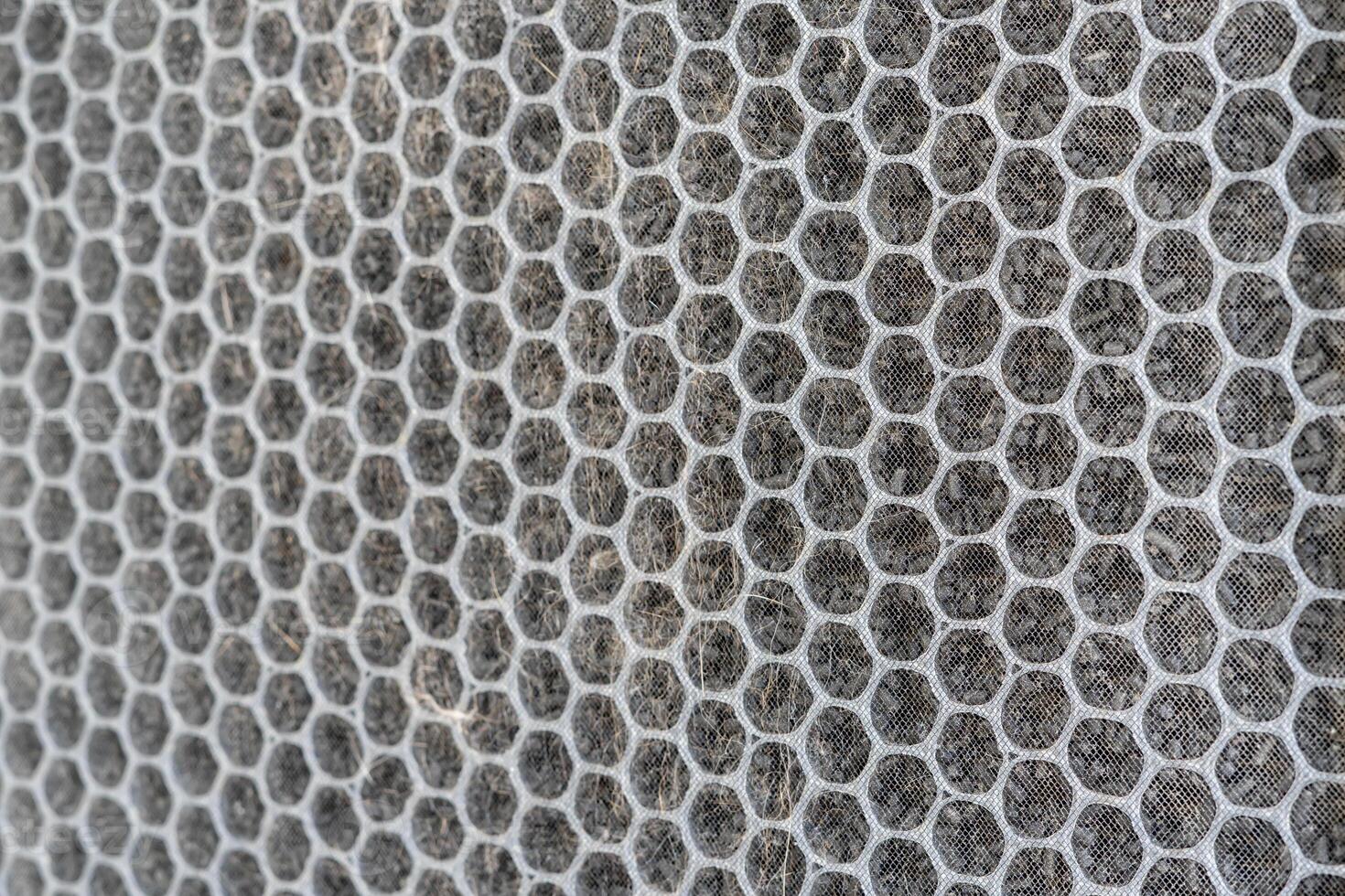 Close up carbon filter and cat fur on net surface cleaning  air purifier in service check photo