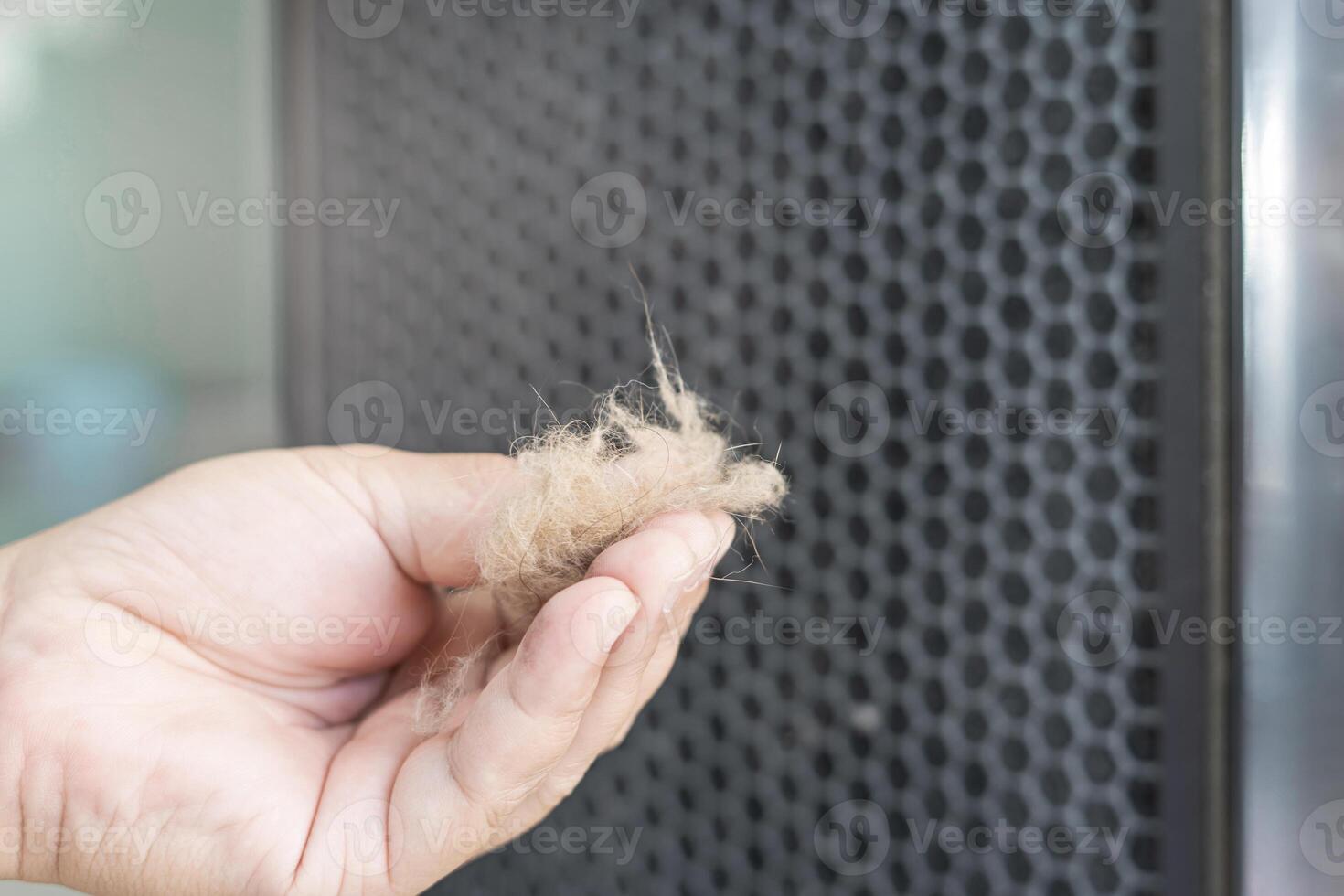 Close up hand a man and cat fur with dust in air purifier filter basic cleaning in home photo