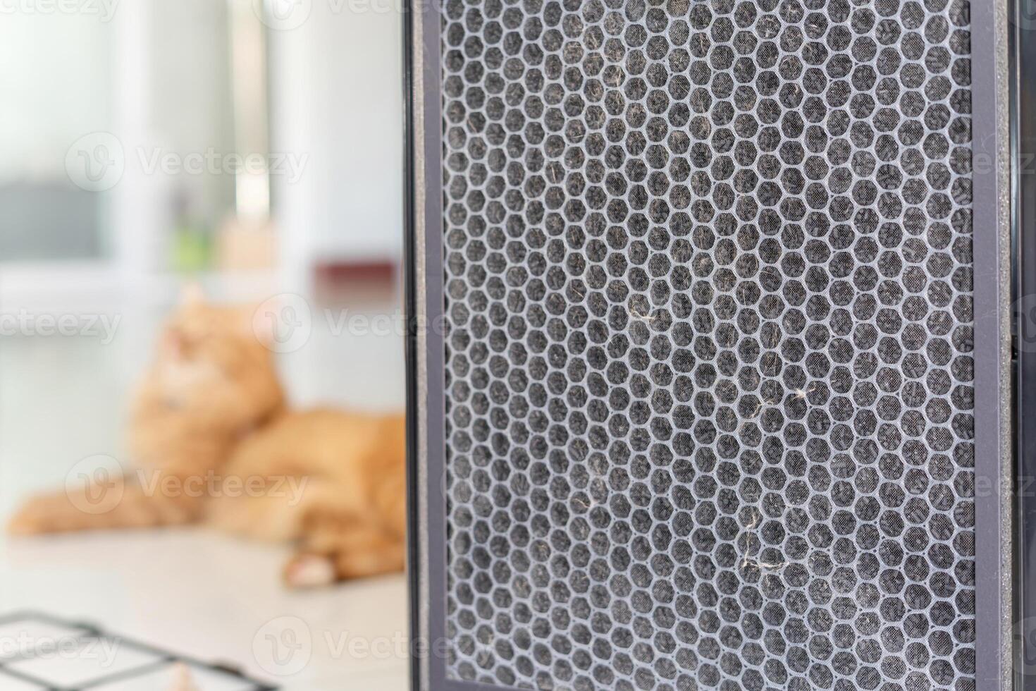 Close up cat fur on filter air purifier with dust on filter basic Care of the air purifier cleaning in home photo