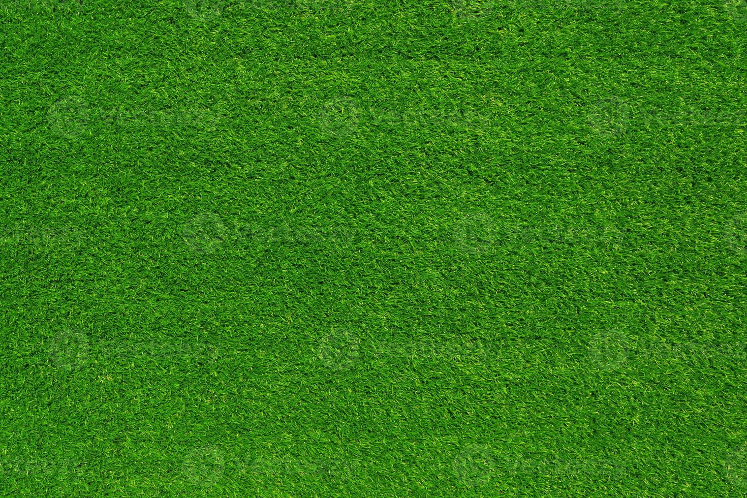 Green grass texture and background use for copy space photo