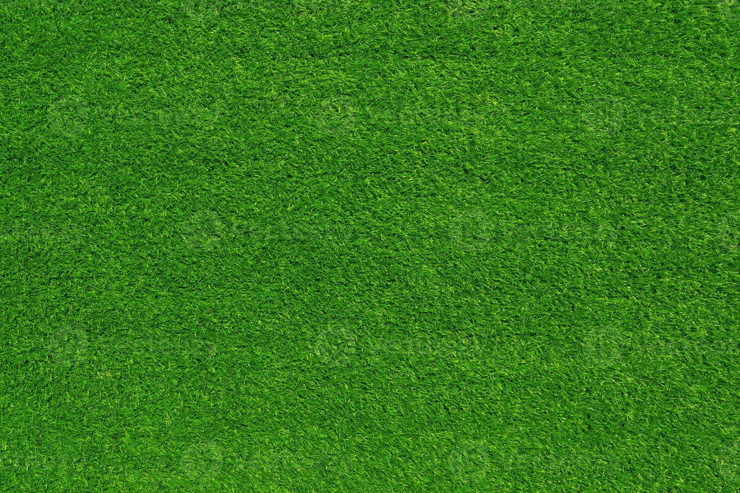 Green grass texture and background use for copy space photo