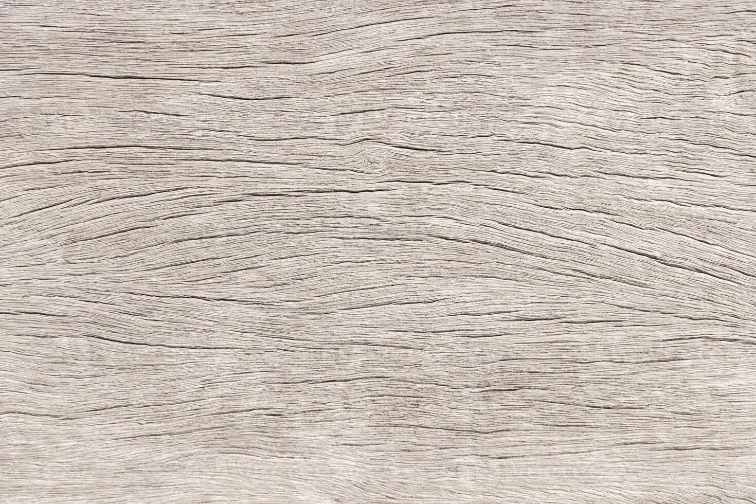 Light gray wood color for texture and copy space in design background photo