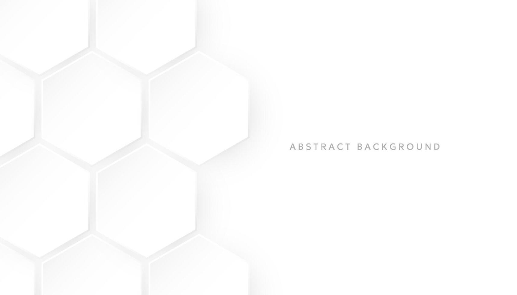 Hexagonal abstract white background. Modern minimalist hexagonal geometric background vector