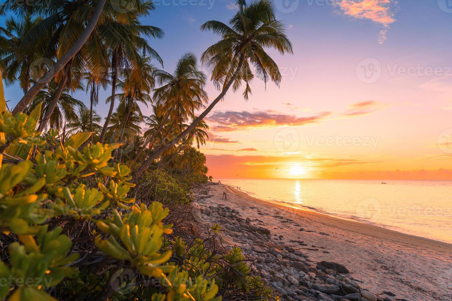 tropical playa con Coco palmas con amanecer o puesta de sol y mar foto