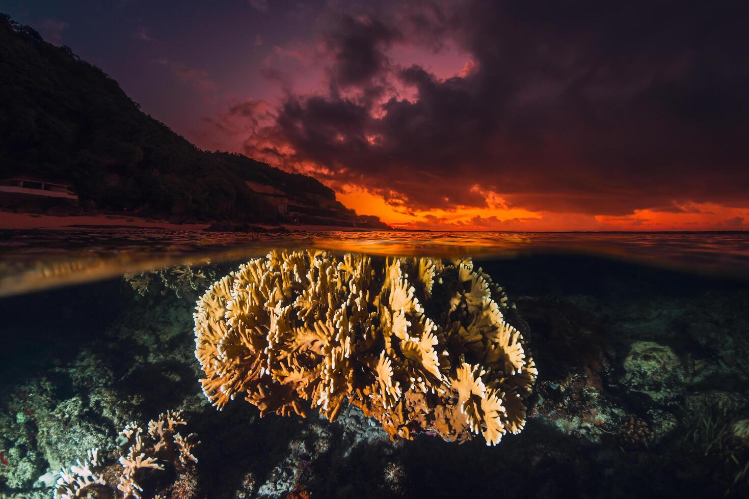 Tropical seascape with coral underwater and colorful sunset or sunrise, split view with artificial light photo