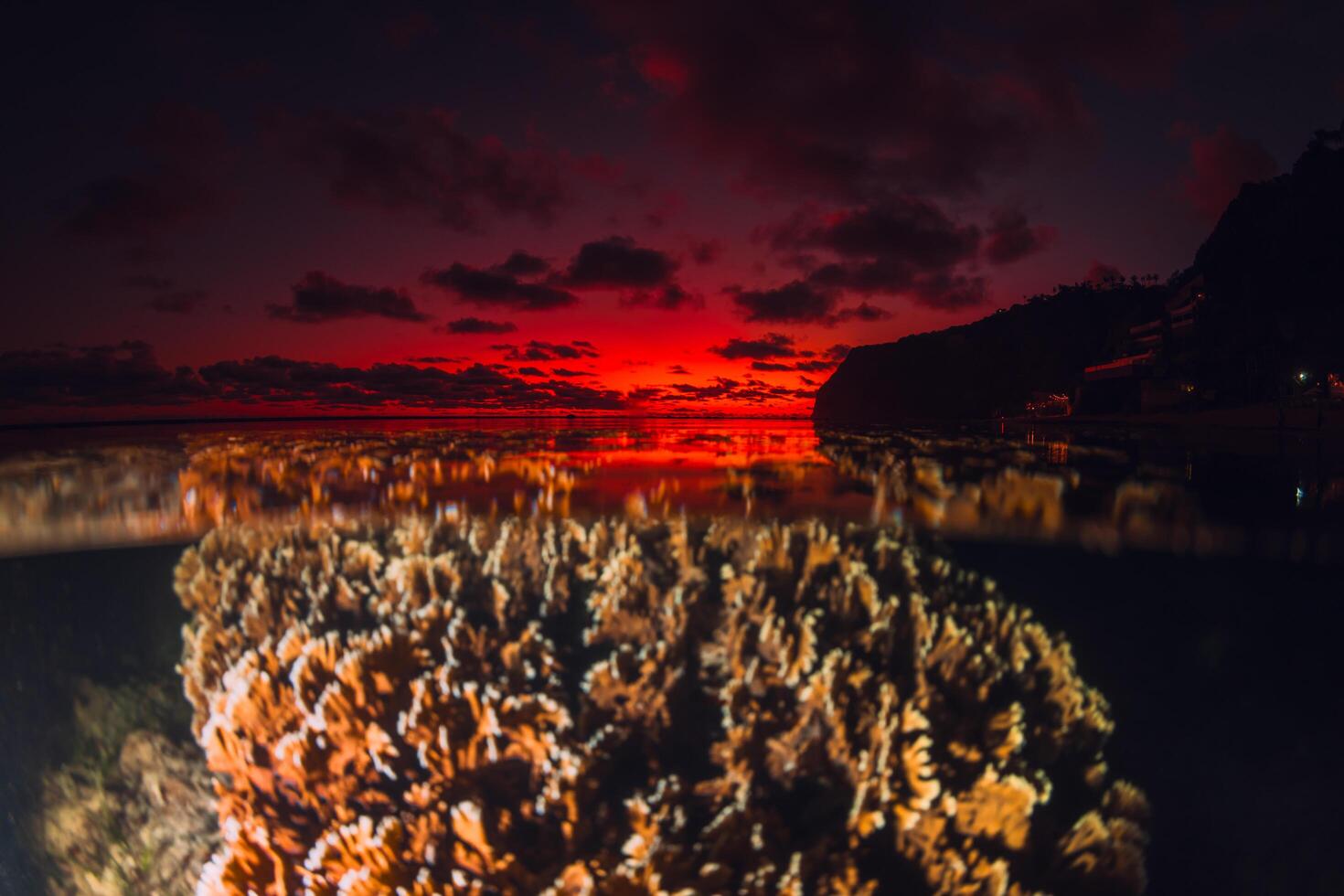 Tropical seascape with coral underwater and colorful sunset or sunrise on the seashore, split view with artificial light in French Polynesia photo