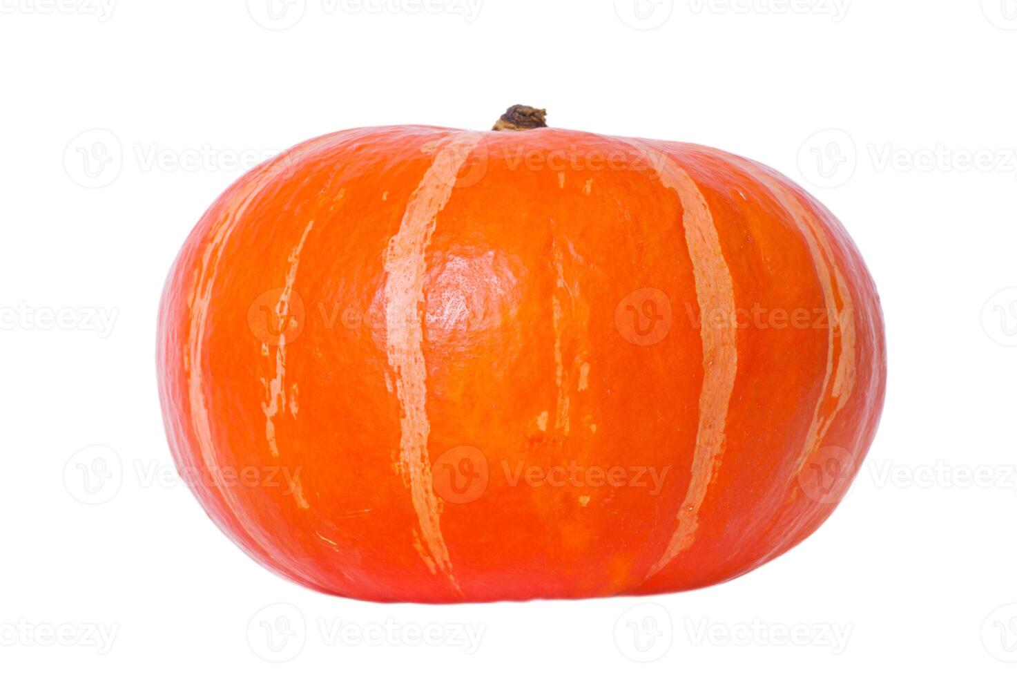 Orange ripe pumpkin isolate on white. Healthy food, vitamins. Harvesting. Halloween photo