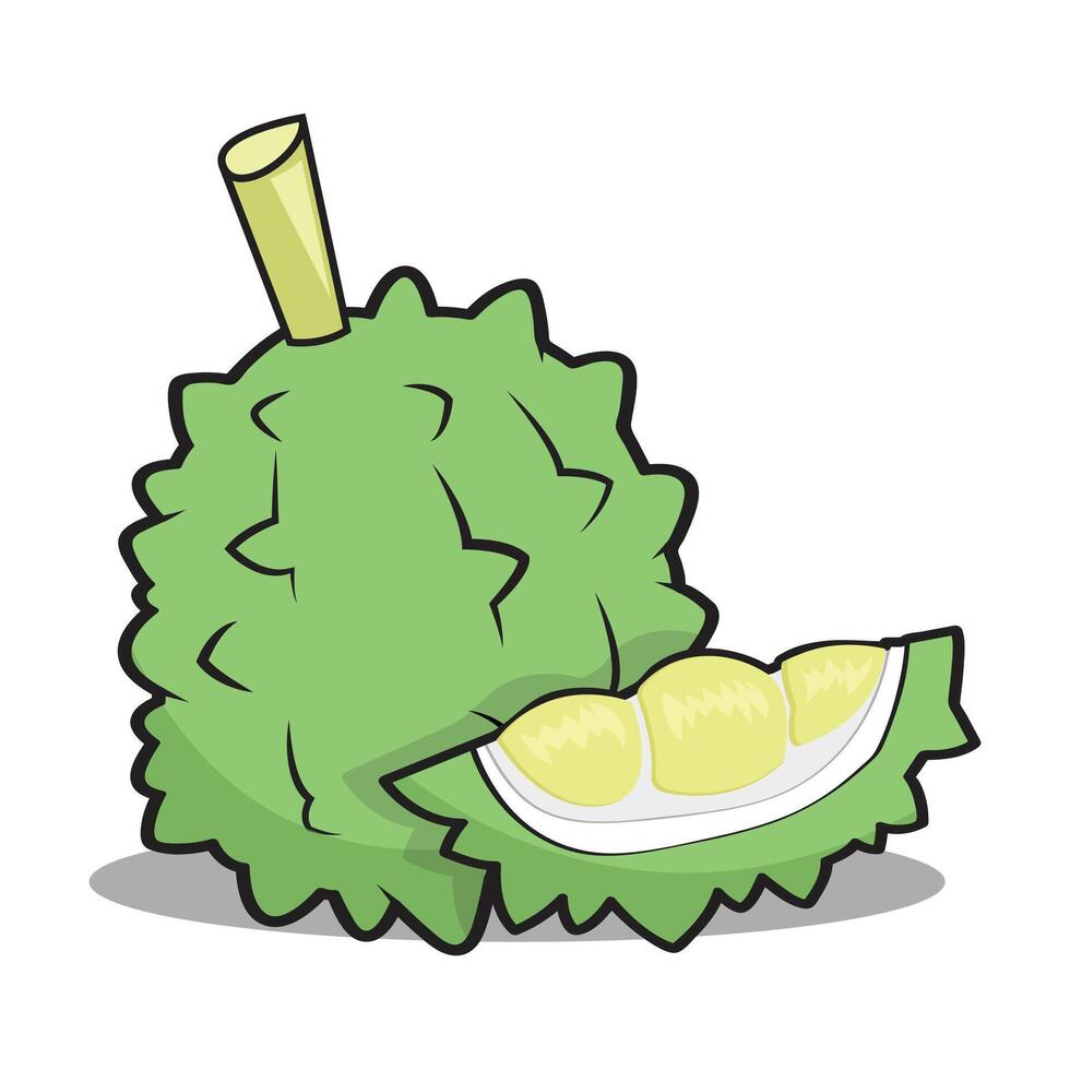 cute fruit, green durian cartoon object on white background, vector illustration