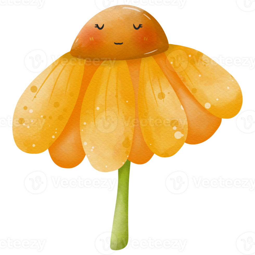 Oranges illustration so cute png