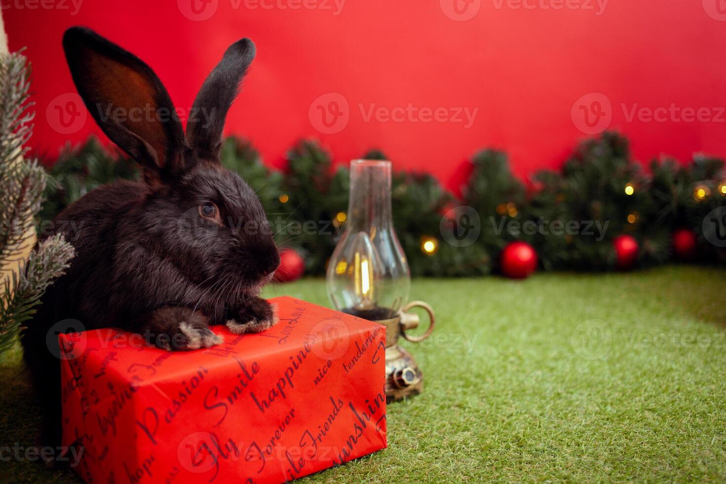 black rabbit symbol 2023 Chinese calendar, New Year greeting, Christmas card, copy space for text, red background. beautiful hare on banner, decorated Christmas tree. magic. photo