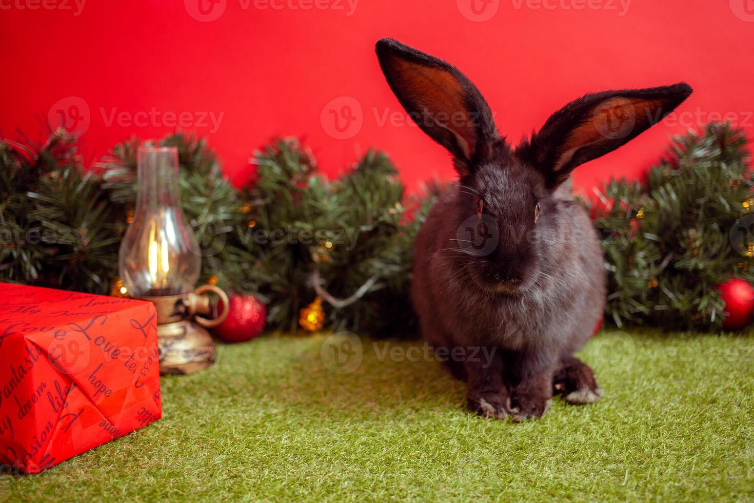 black rabbit symbol 2023 Chinese calendar, New Year greeting, Christmas card, copy space for text, red background. beautiful hare on banner, decorated Christmas tree. Balls. photo