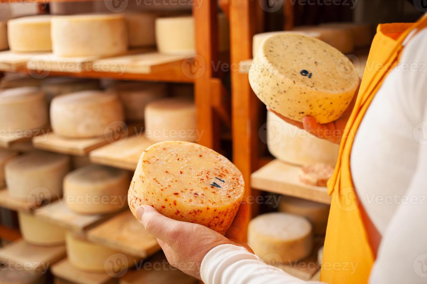 male, man cheese maker businessman, individual entrepreneur, checks cheese in cellar, basement. cheese head ripens on wooden shelves, process of producing homemade. holds in his hands. photo