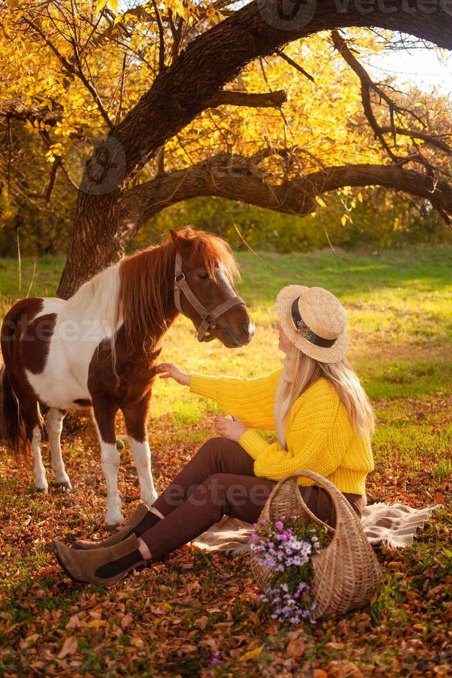 woman and spotted brown pony at sunset in forest, beautiful girl in autumn clothes loves her horse, concept of kindness, animal care, nature and friendship. without face. photo