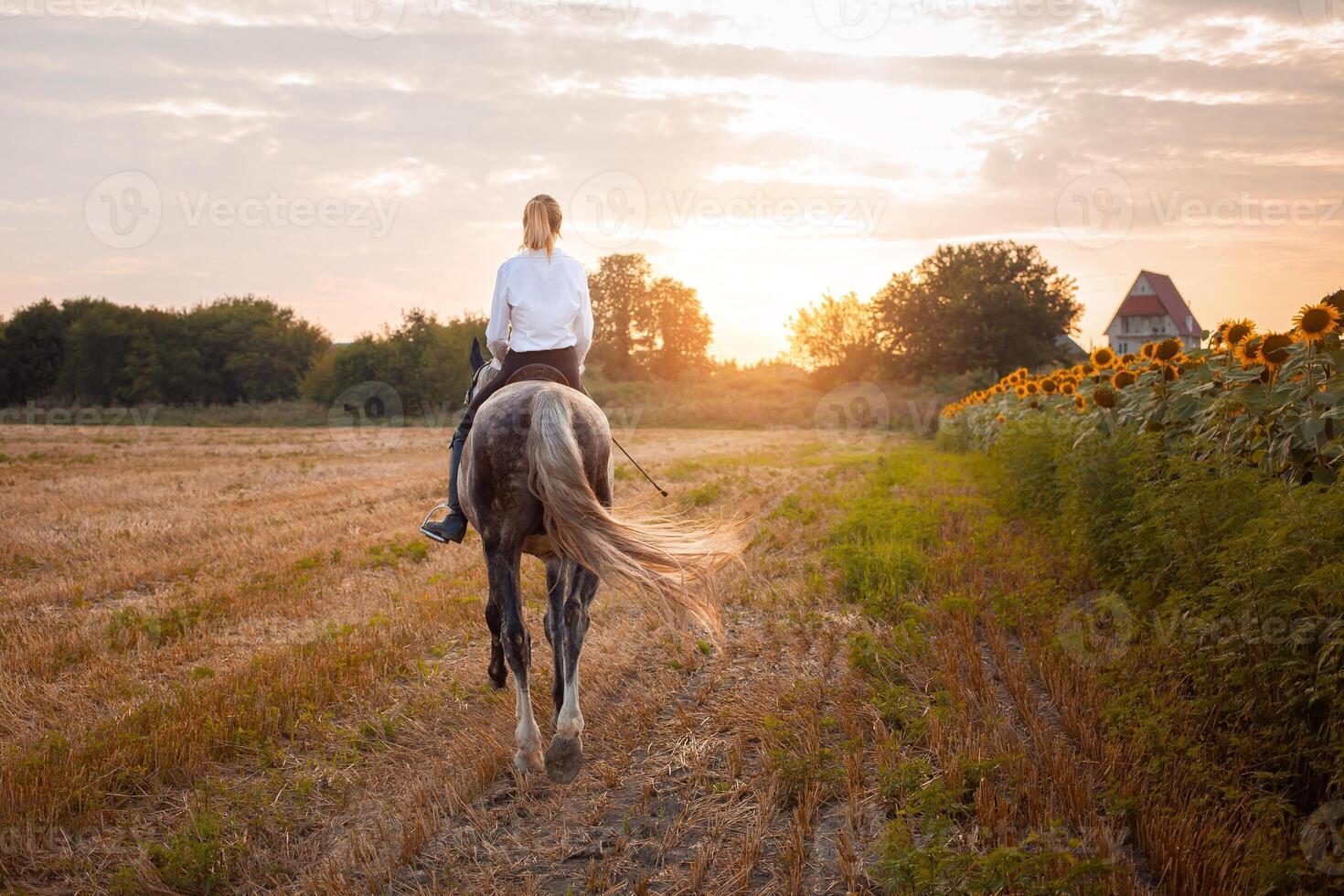 woman loves a horse. Love and friendship for the animal, care photo