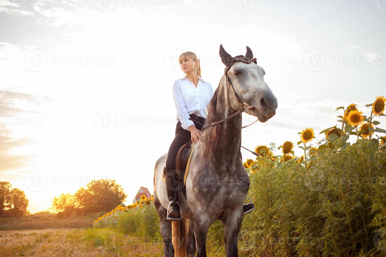 woman loves a horse. Love and friendship for the animal, care photo