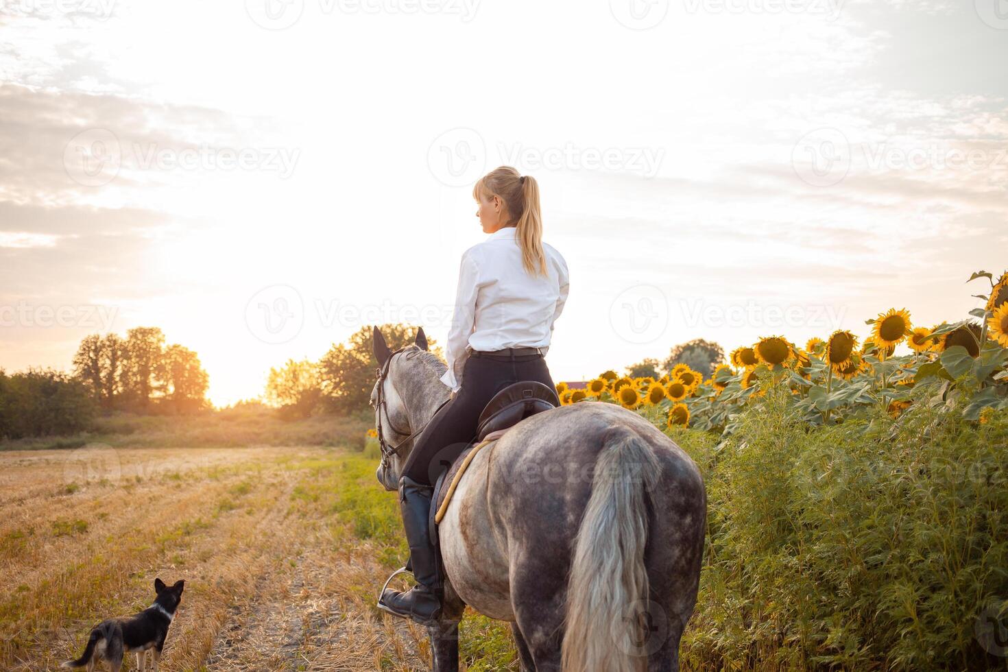 woman loves a horse. Love and friendship for the animal, care photo