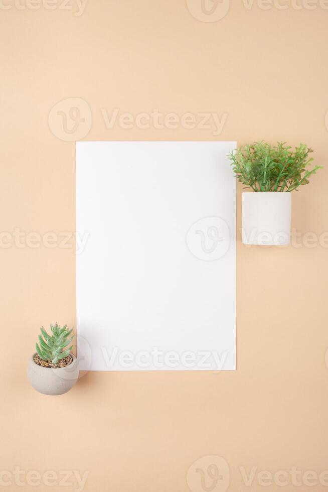 Mocup on a beige background. Empty space for text. Advertising, design, post. Green succulents, artificial plants in pots. photo