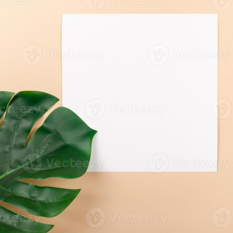 Mocup on a beige background. Empty space for text. Advertising, design, post. Monstera, artificial plant flat lay photo