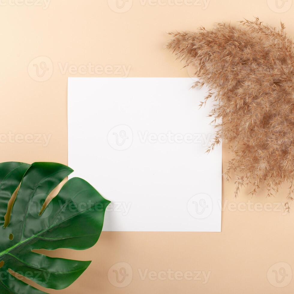 Mocup on a beige background. Empty space for text. Advertising, design, post. Monstera, artificial plant flat lay photo