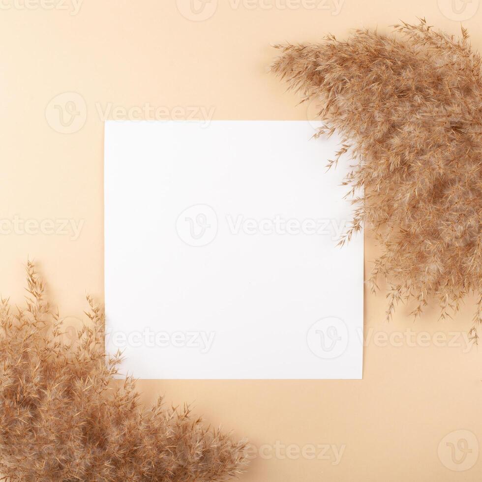 Mocup on a beige background. Empty space for text. Advertising, design, post. Pampas, reeds, broomstick, dry bamboo trending plant photo