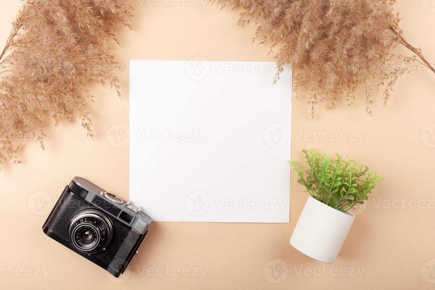 Mocup on a beige background. Beautiful plants, empty space for text. Advertising is a design post. flat lay Camera For the photographer photo