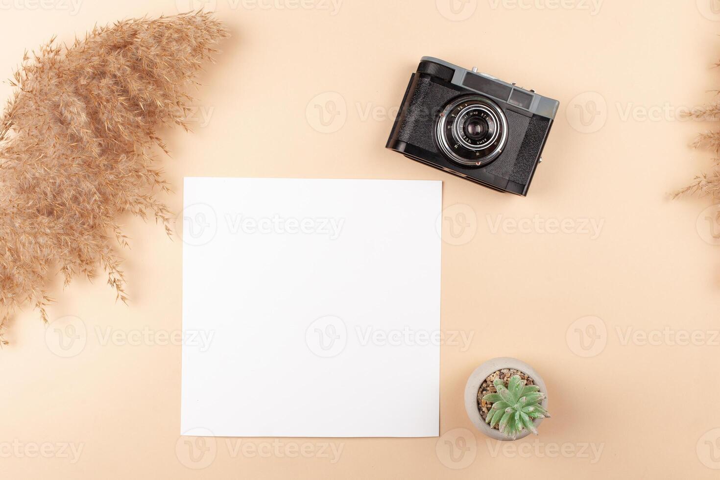 Mocup on a beige background. Beautiful plants, empty space for text. Advertising is a design post. flat lay Camera For the photographer photo