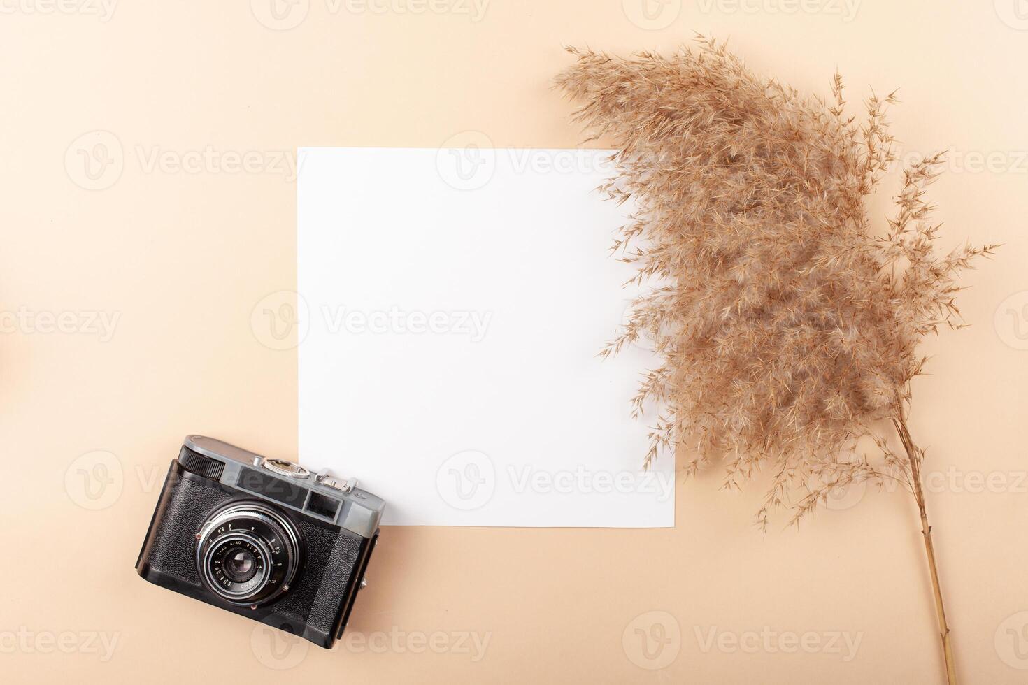 Mocup on a beige background. Beautiful plants, empty space for text. Advertising is a design post. flat lay Camera For the photographer photo