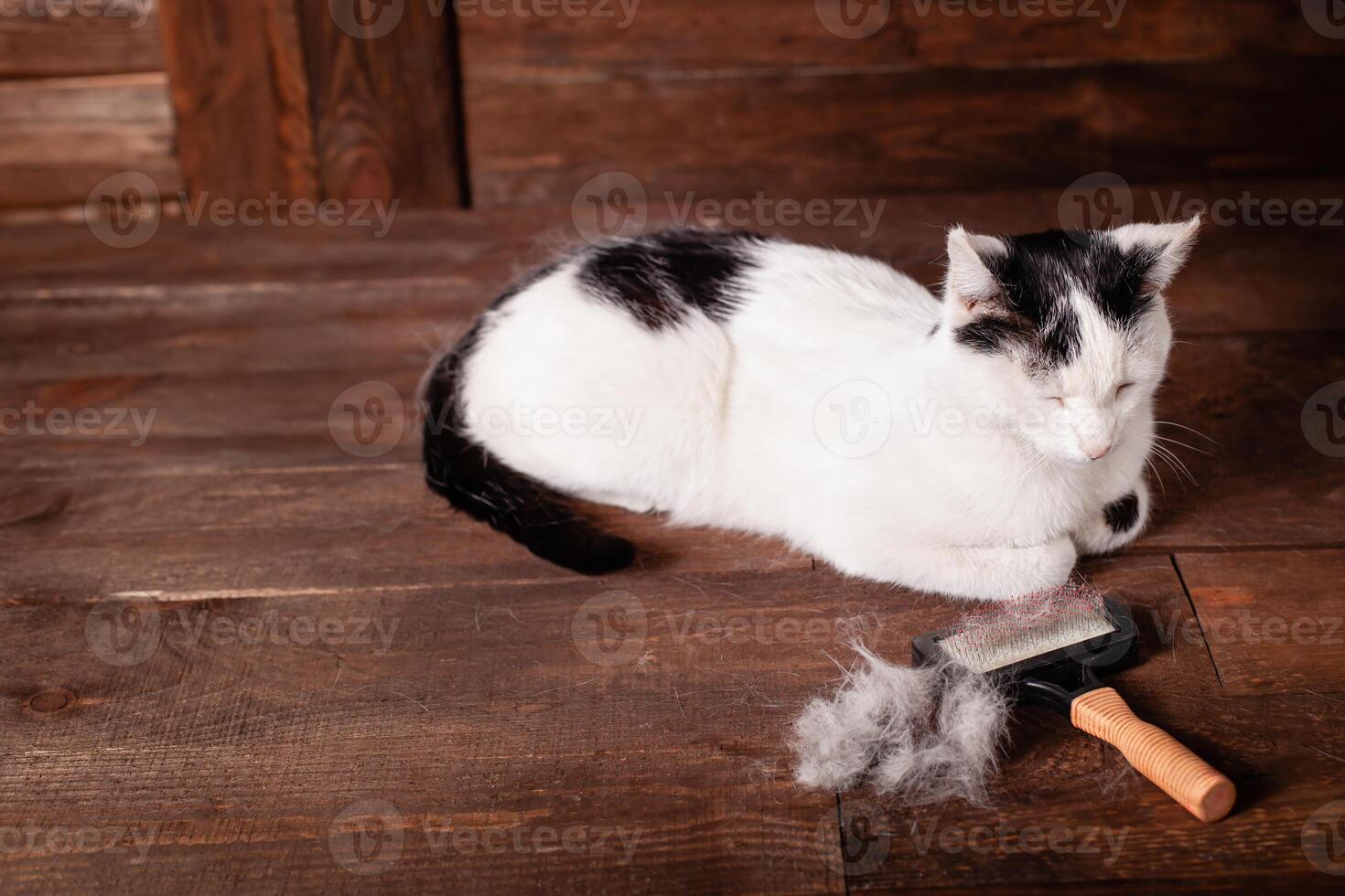 A black and white cat lies on a brown table, all covered in wool. photo