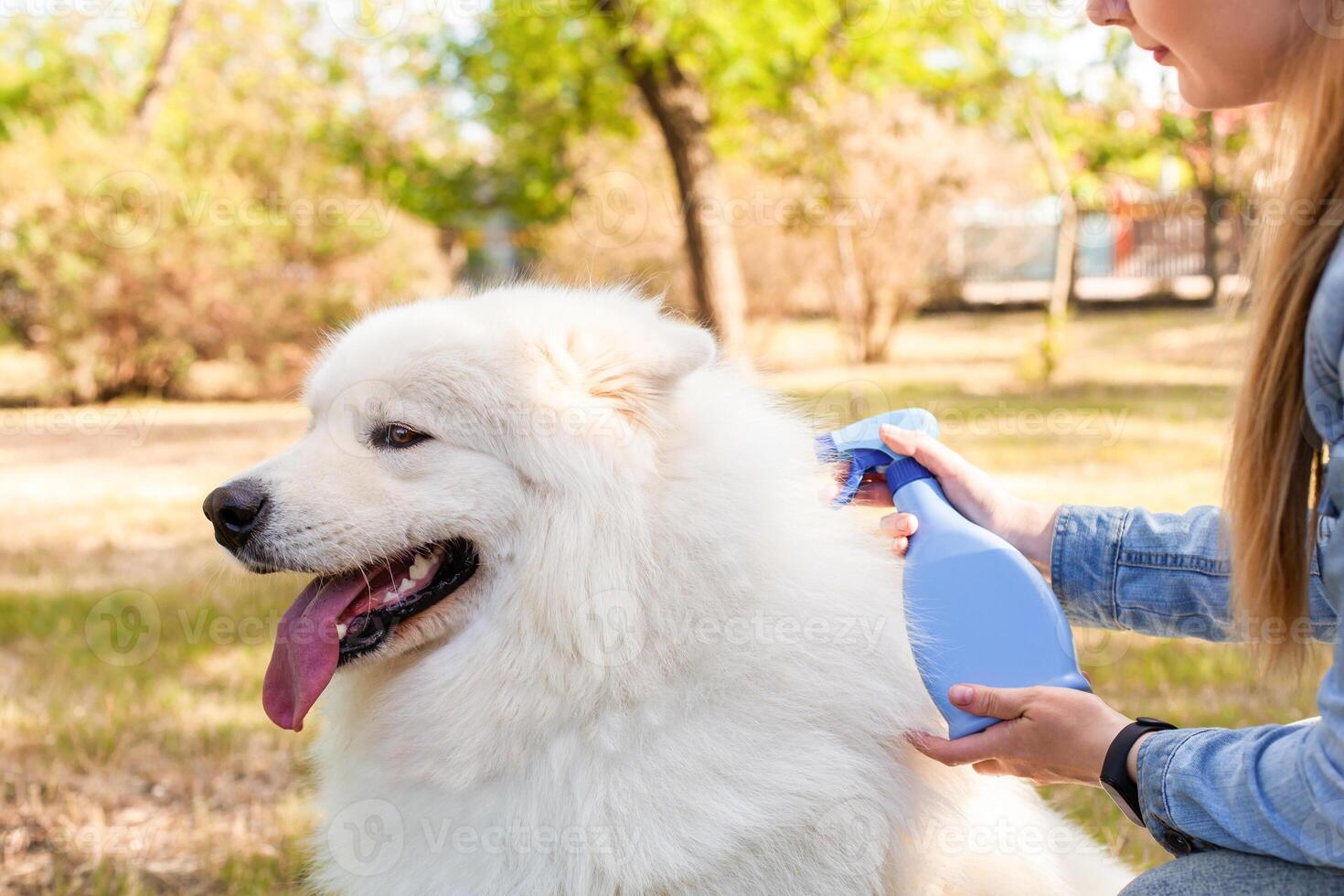 Love, friendship, caring for animals. photo